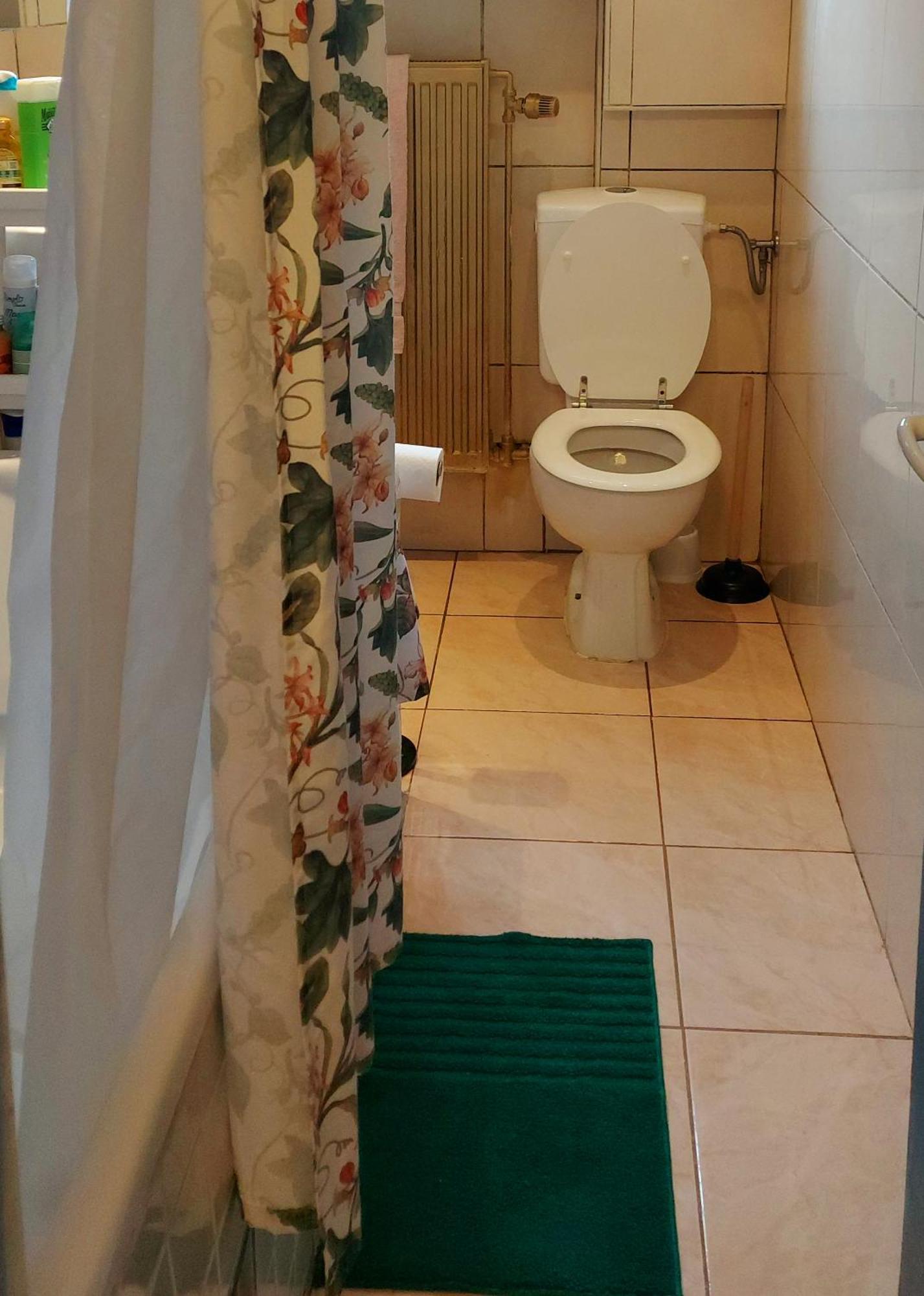 Belle Chambre Dans Un Quartier Calme Bryssel Exteriör bild
